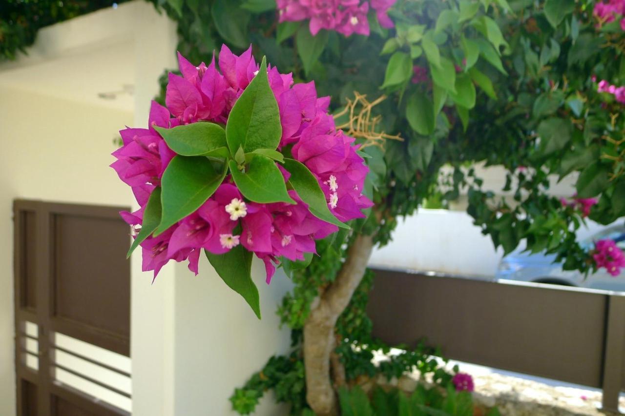Maria & Manos Guest House, Agios Onoufrios Beach Extérieur photo